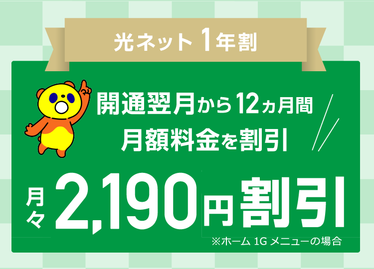 光ネット1年割